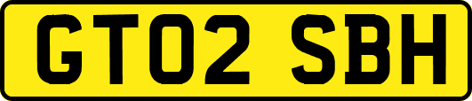 GT02SBH