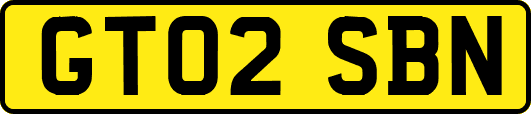 GT02SBN