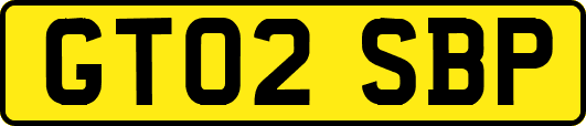 GT02SBP
