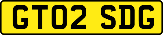 GT02SDG