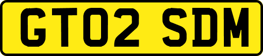 GT02SDM