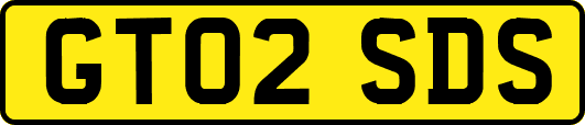GT02SDS