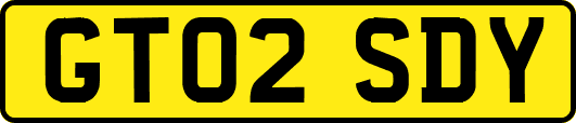 GT02SDY