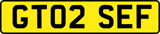 GT02SEF