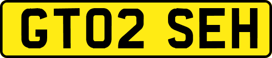 GT02SEH