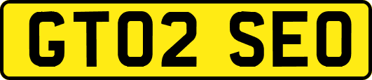 GT02SEO