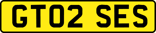 GT02SES