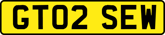 GT02SEW