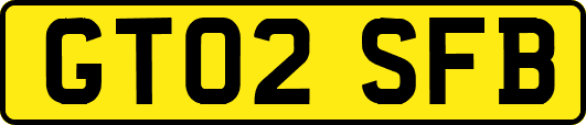 GT02SFB