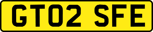 GT02SFE