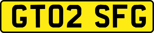 GT02SFG