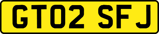 GT02SFJ