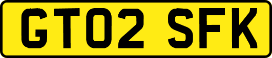 GT02SFK