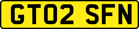 GT02SFN