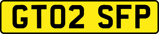 GT02SFP