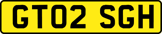 GT02SGH