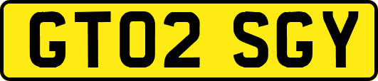 GT02SGY