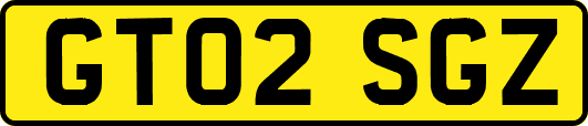 GT02SGZ