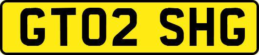 GT02SHG