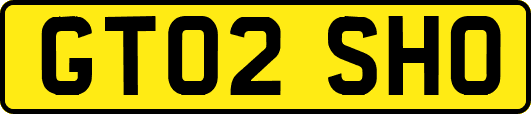 GT02SHO