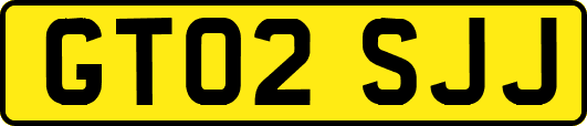GT02SJJ