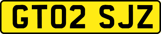GT02SJZ