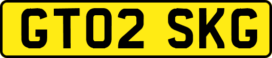 GT02SKG