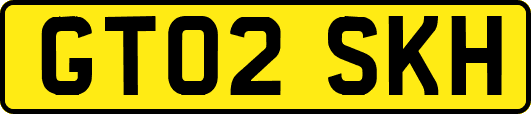 GT02SKH
