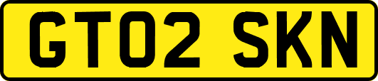 GT02SKN