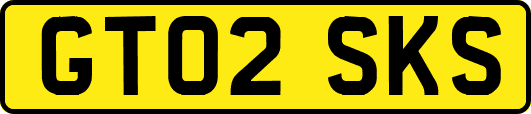 GT02SKS