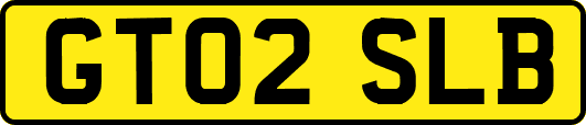 GT02SLB