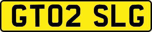 GT02SLG