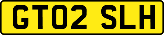 GT02SLH
