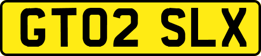 GT02SLX