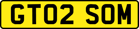 GT02SOM