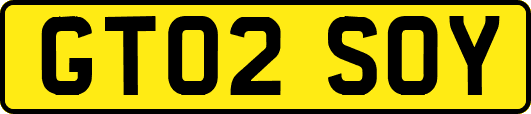 GT02SOY