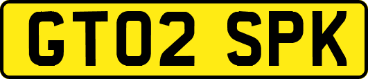 GT02SPK