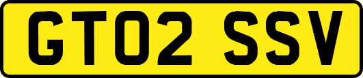 GT02SSV