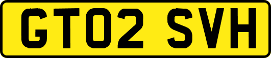 GT02SVH