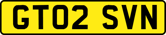 GT02SVN
