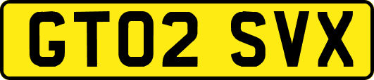 GT02SVX