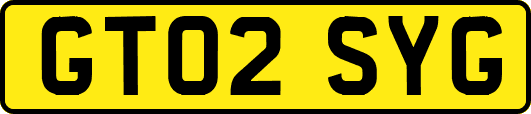 GT02SYG