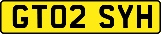 GT02SYH
