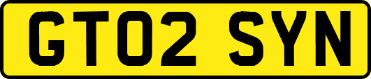 GT02SYN