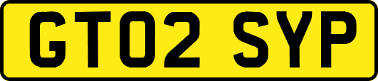 GT02SYP
