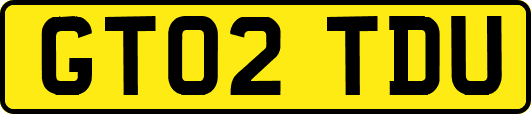 GT02TDU