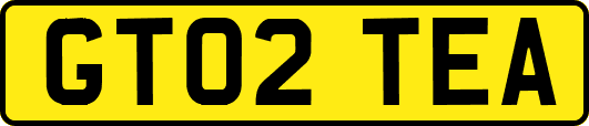 GT02TEA