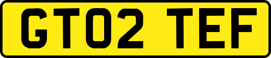 GT02TEF