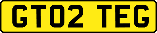 GT02TEG