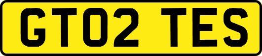 GT02TES